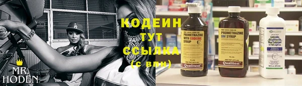дмт Верея