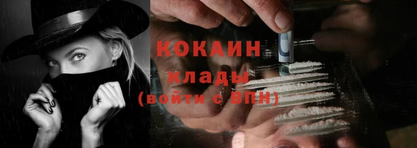 дмт Верея